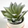 Agave Attenuata Artificial Plant