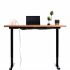 Ingrained Ergonomic Standing Desk (As-Is)